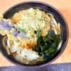 そば処味の里（綾瀬）野菜天うどん