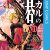 ヒカルの碁 第11巻