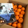 ふるさと納税で、和歌山県湯浅町から『みかん 10kg』が届きました！