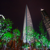 旅行写真：2010年当時の上海で最も高かったビルに登り夜景を楽しむ - China（中国）