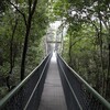 シンガポール　ツリートップウォーク (Tree Top Walk) は舐めてはいけない - 準備をしよう