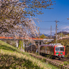 ヤマザクラと富山もよう