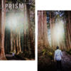 ＰＲｉＳＭ　ＶＯＬ．９６＆レコード大賞「作詩賞」受賞