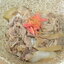 朝から牛丼