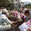 保育園児との交流芋掘り