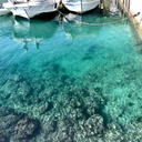 魚釣り釣行日記 海釣り 川釣り 池釣り！