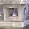 気が沈んでどうしようもない