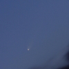 今朝は今朝で・・2023A3 紫金山 ATLAS 彗星