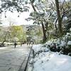 雪の京都