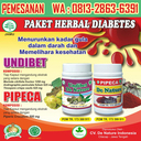 Nama Obat Diabetes di Apotik