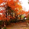 普現寺の紅葉　と　白馬渓のモミジ