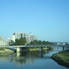 きょうの桜城橋 - 2019年10月27日