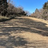 達磨山登山日記