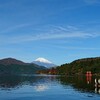 箱根神社へ行く。