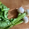 地産の野菜で料理