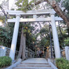  2017年 初詣 （ 1  伊和志津神社、川面神社 ）