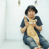 室井滋の猫の種類や名前は？５匹もいるの？！