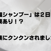 「塩シャンプー」は２日目にも効果があった！？