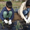 12月8日(土)玉ねぎ植え