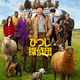 Sony Pictures エンタメ2作　『ひつじ探偵団』＆『プロジェクト・ヘイル・メアリー』