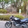 舗装されていてネイキッドタイプのバイクでも走れる林道【円空峠】