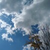 【何のために生きるのか】本を読み、感じ考え、書き続けた先に、自分だけのこたえがある