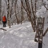 大雪の後の遊山　白色の時