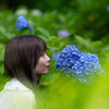 紫陽花に咲く❣️ なるはちゃん その36 ─ 北陸モデルコレクション 2023.6.18 太閤山ランド ─