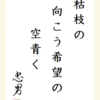 枯枝の向こう希望の空青く