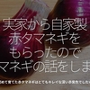 519食目「実家から自家製赤タマネギをもらったのでタマネギの話をします」初めて育てた赤タマネギはとてもキレイな深い赤紫色でした★