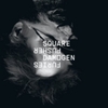  Squarepusher / Damogen Furies