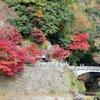 永源寺の紅葉