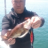 今日も松山沖…メバジギ&サビキ釣り…
