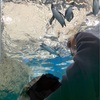 水族館外編