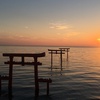 大魚神社の海中鳥居（佐賀県太良町）～鳥居が海中から突き出た幻想的な風景