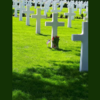 Memorial Day