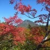 紅葉が綺麗♪