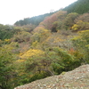 幾里林道＋霊仙山　５合目編
