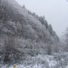 天皇賞(春)予想 セカンドPC競り落とす 雪