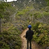 親子登山