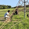 息子と公園でバッタを発見！