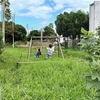 草ぼーぼーの公園