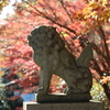 鎌倉の禅寺、建長寺で紅葉を楽しむ