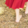 今年撮った写真 Advent Calendar 2017 11日目