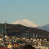 高崎公園周辺散歩　浅間山・観音山から榛名山まで動画・今朝は氷点下3℃