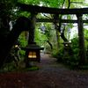 まるでジブリな世界観！森の妖精が出てきそうな【五所駒瀧神社】｜週末ジンジャー＠茨城2025