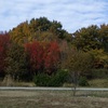 里山の紅葉