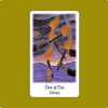 Vision Quest Tarot：Five of Fire