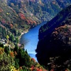 【熊本県・2024年版】秋の絶景・風物詩10選