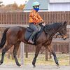 シルクなお馬さん（１歳・関東牝馬）